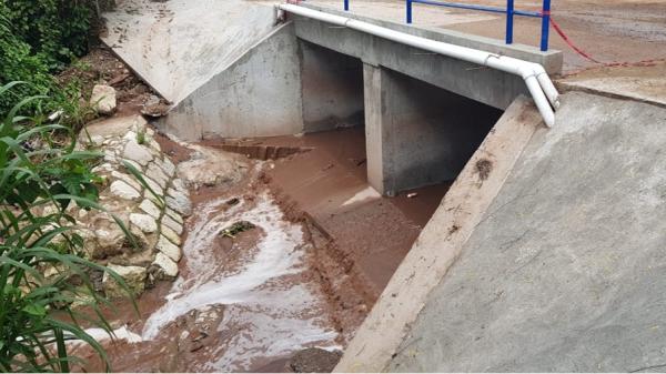 WhatsApp Image 2026 01 22 at 2.06.41 PM